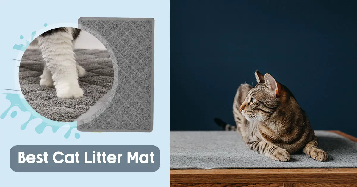 Best Cat Litter Mat