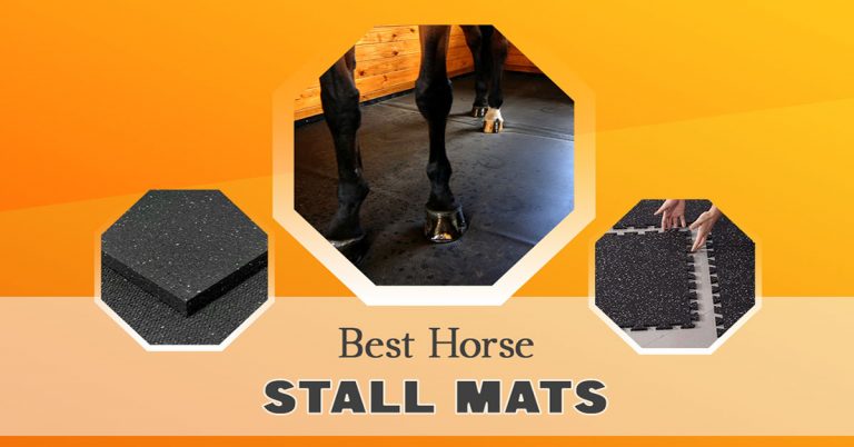 Types of Horse Stall Mats and 3 Best Horse Stall Mat Picks