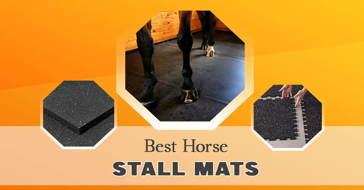 Best Horse Stall Mats