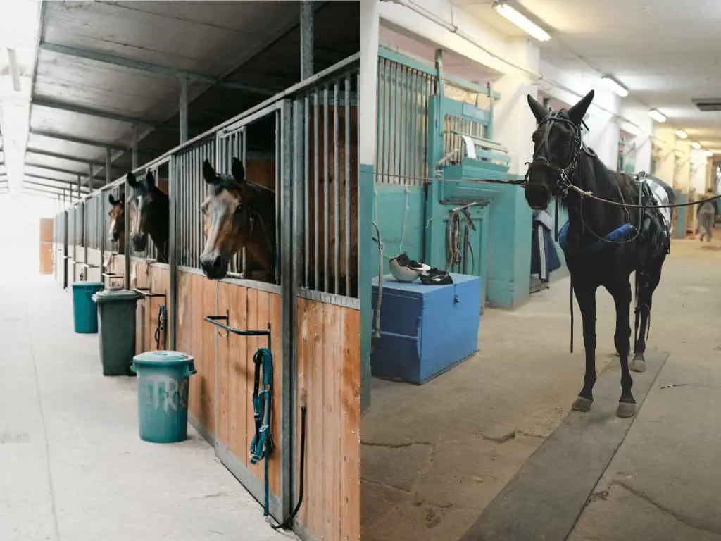 Best selling Horse Stall Mats