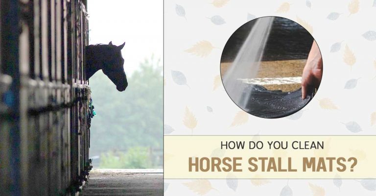 How Do You Clean Horse Stall Mats Installed in The Horse Barn Or Gym?