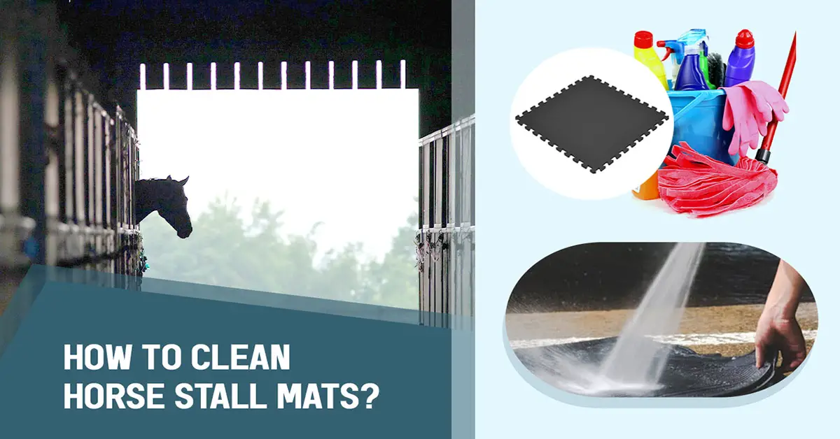 How to Clean Horse Stall Mats?