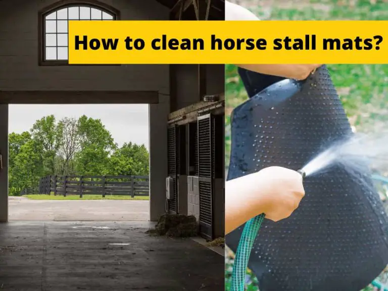 how to clean horse stall mats
