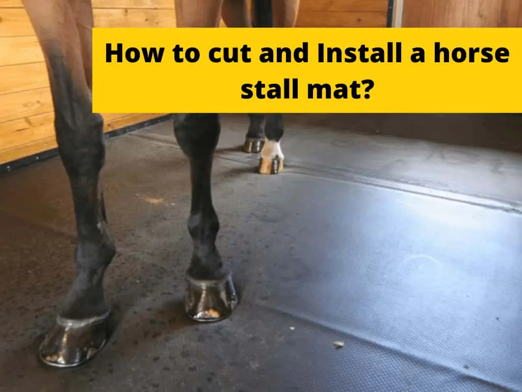 cut a Horse Stall Mat