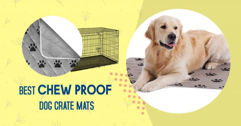 Top Rated Washable, Reusable Puppy Pads & Chew Proof Dog Crate Mats