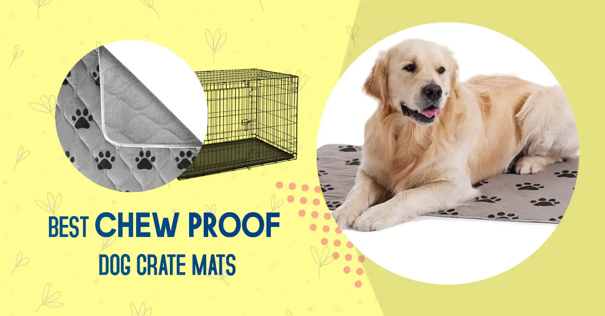 Best Chew Proof Dog Crate Mats