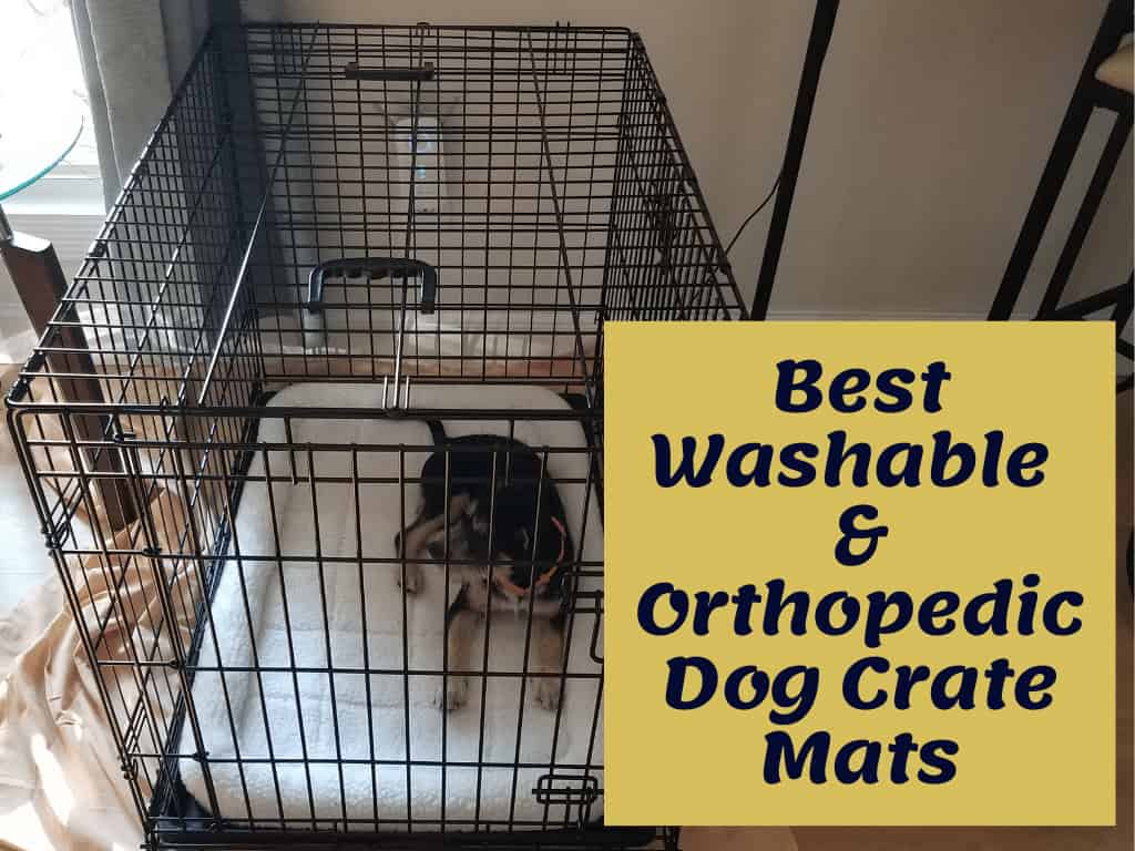 Best Washable Dog Crate Mats